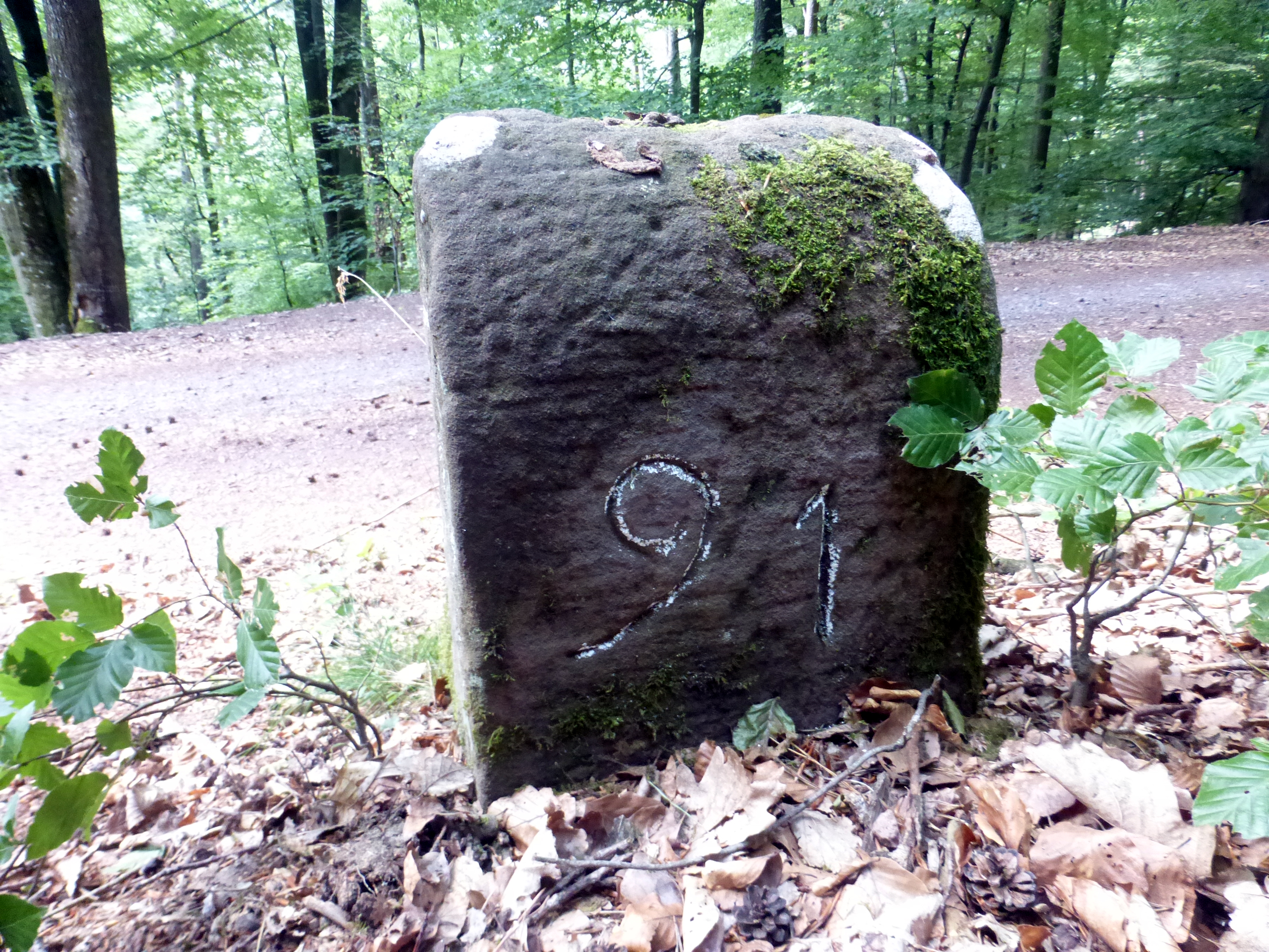 Grenzstein maikammer alsterweiler 91 sankt martin 96 4.jpg