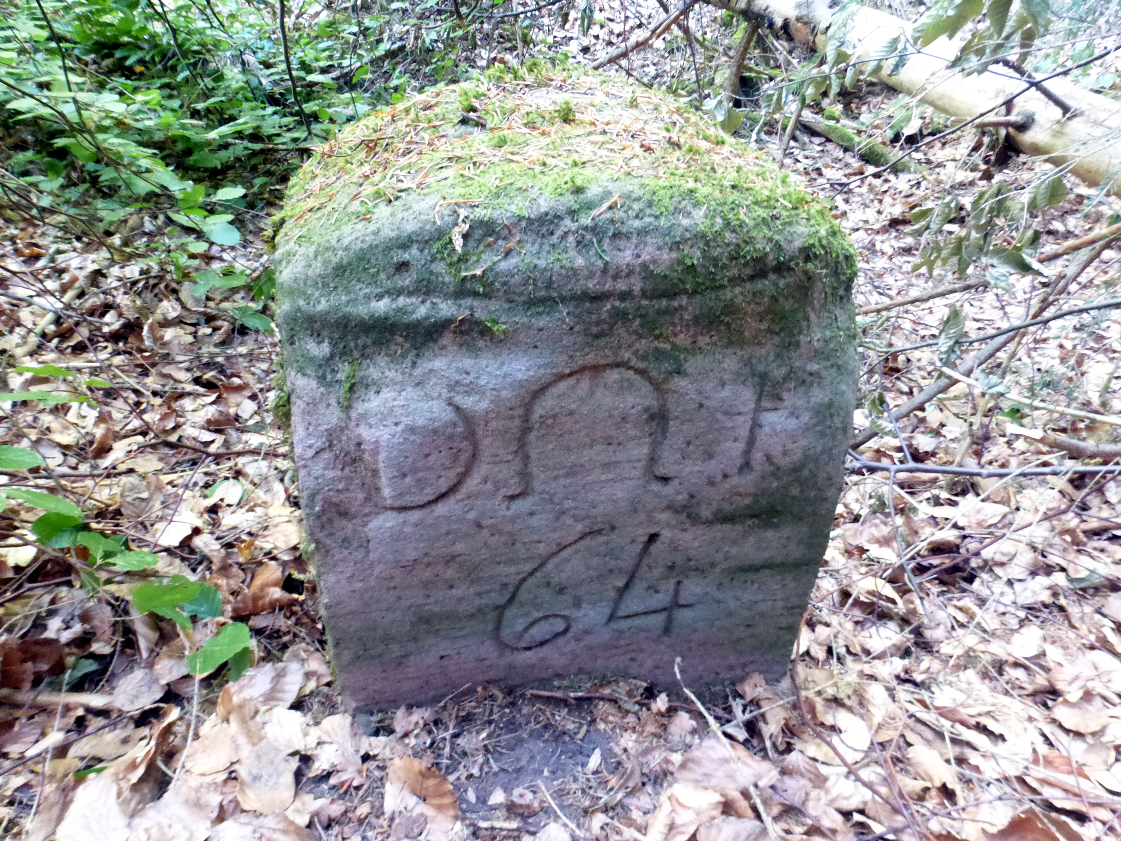 Grenzstein maikammer alsterweiler 157 diedesfeld 64 2.jpg