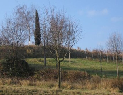 Weinsweiler.jpg