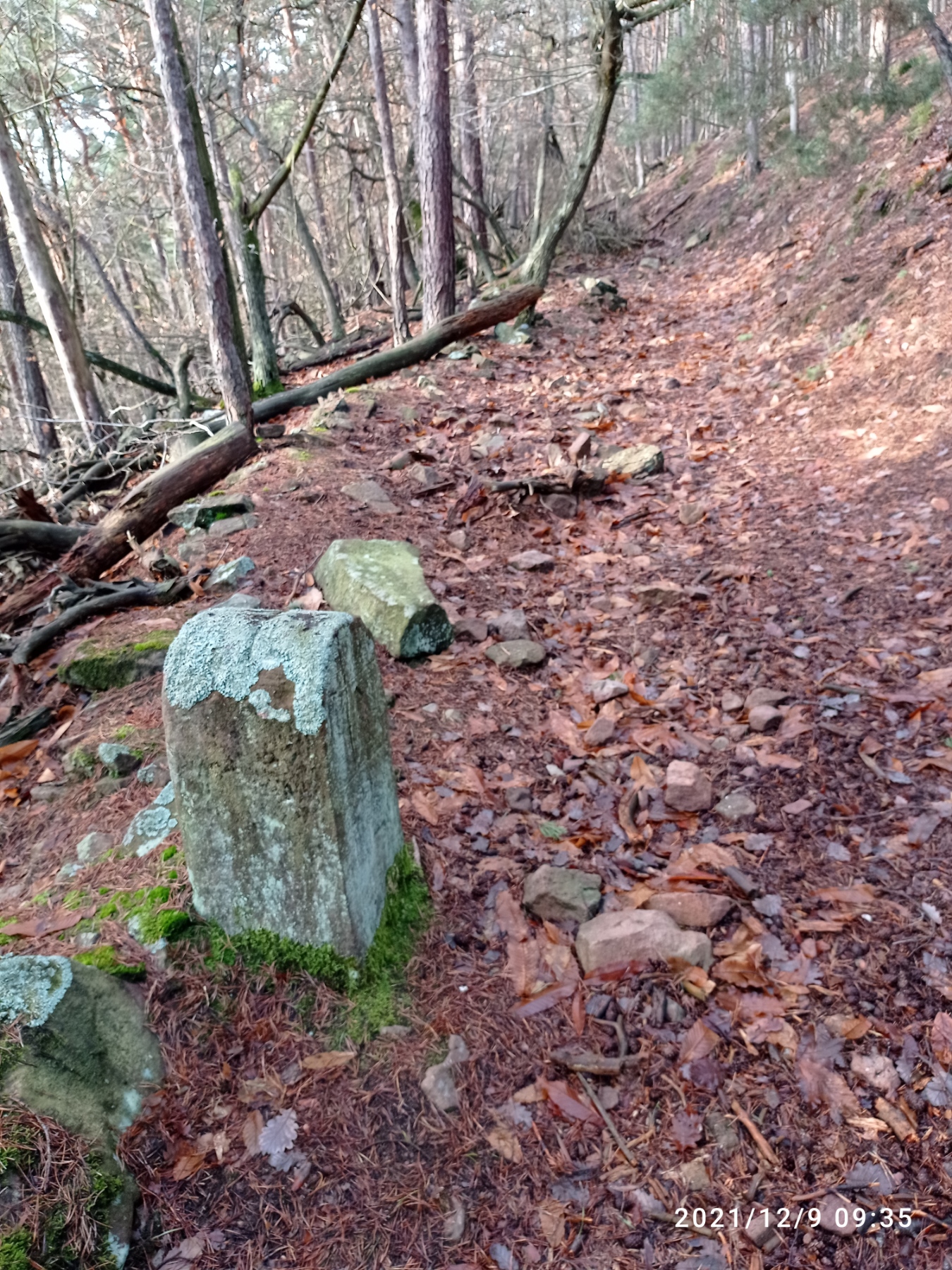 Grenzstein 12 maikammer umfeld.jpg