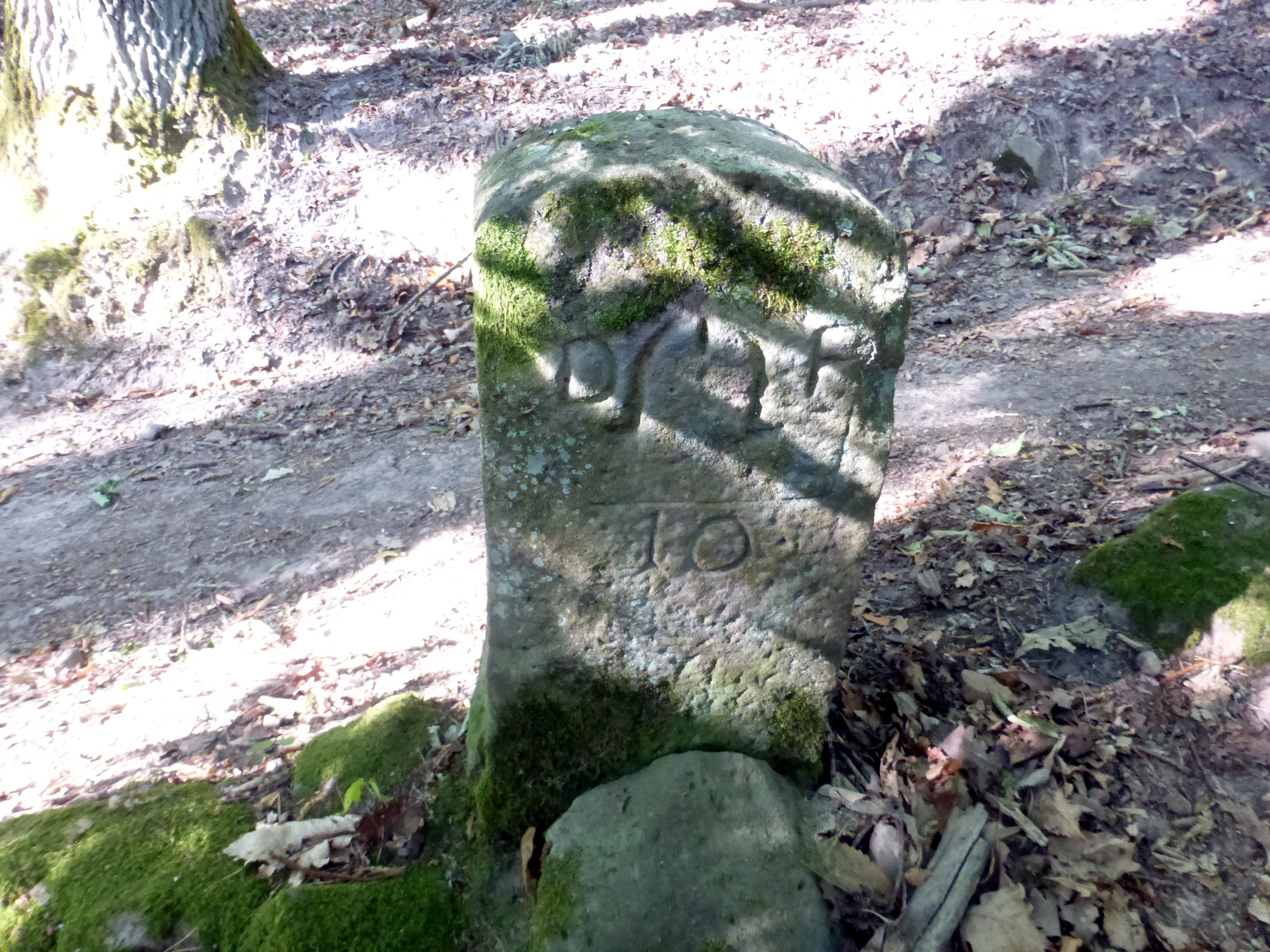 Grenzstein maikammer alsterweiler 211 diedesfeld 10 2.jpg