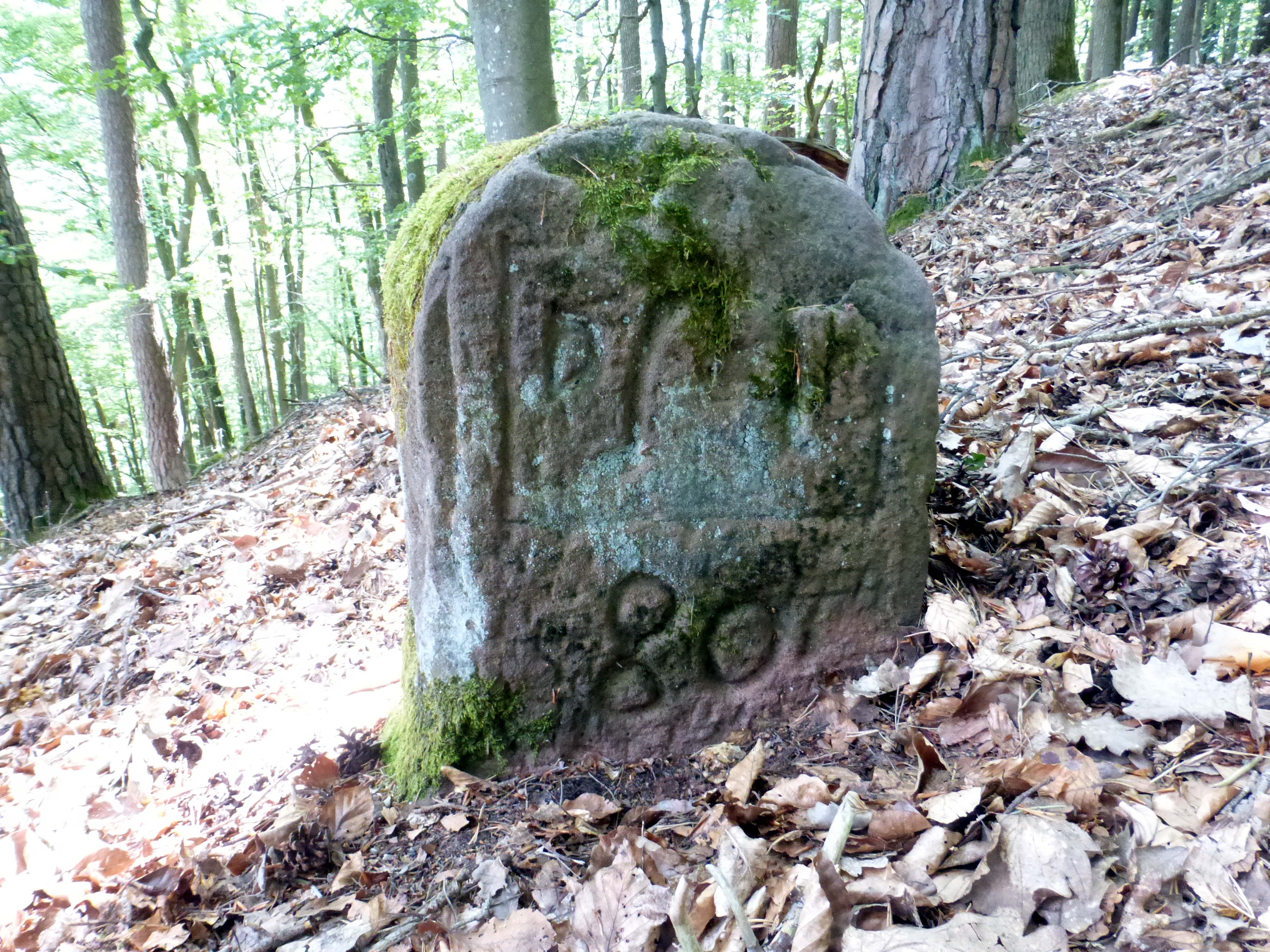Grenzstein maikammer alsterweiler 141 diedesfeld 80 2.jpg