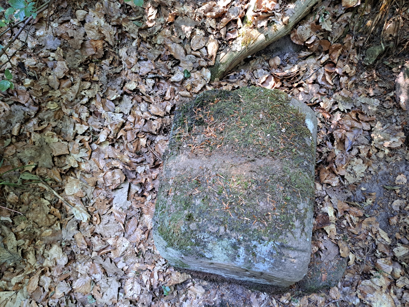 Grenzstein 162 Maikammer 59 Diedesfeld Weisung.jpg