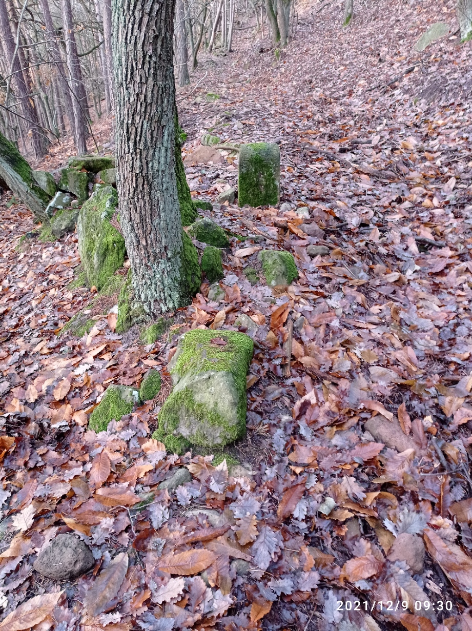 Grenzstein 11 maikammer umfeld.jpg