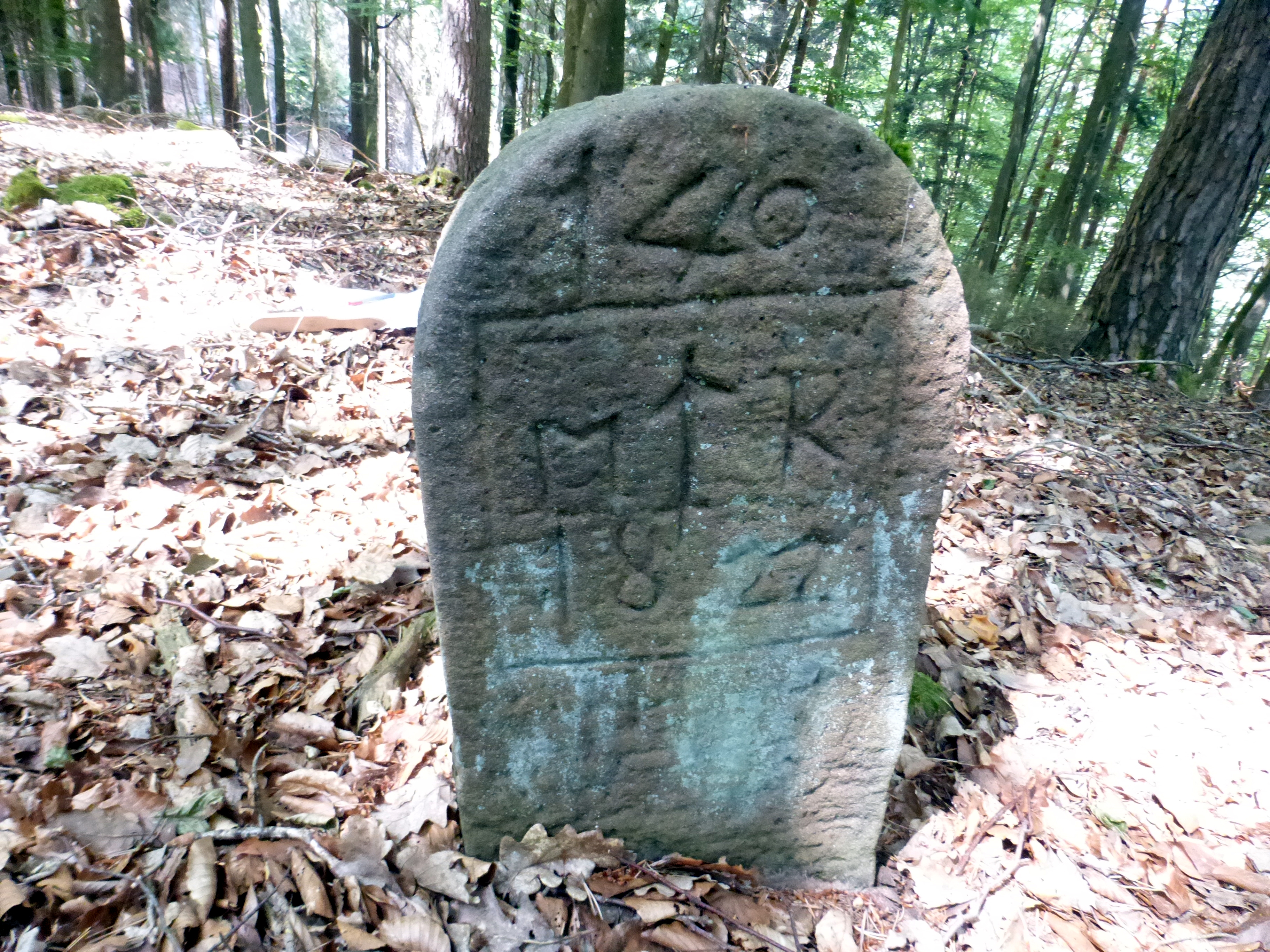 Grenzstein maikammer alsterweiler 140 diedesfeld 81 1.jpg