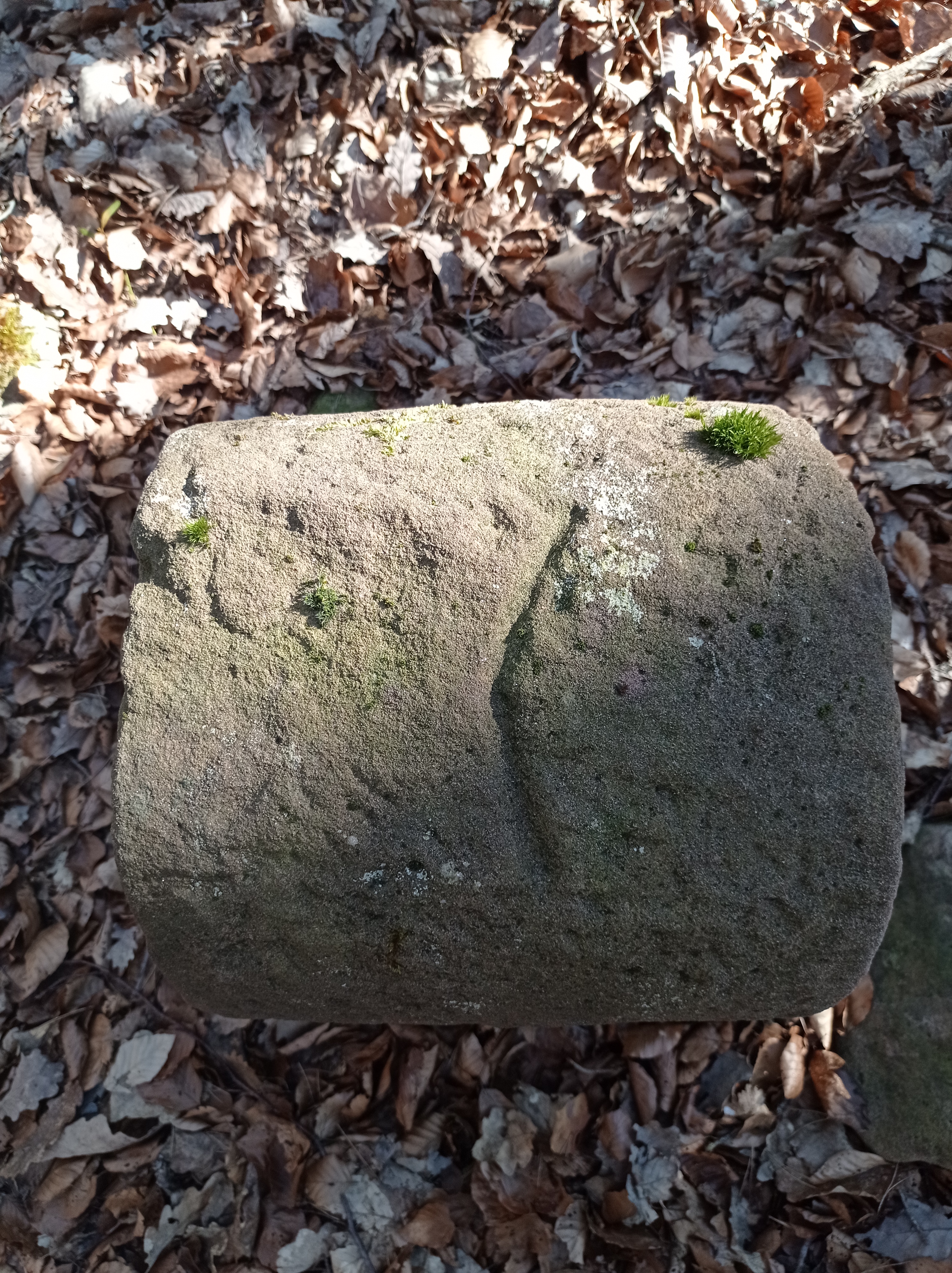 Grenzstein maikammer 140 diedesfeld 81.jpg