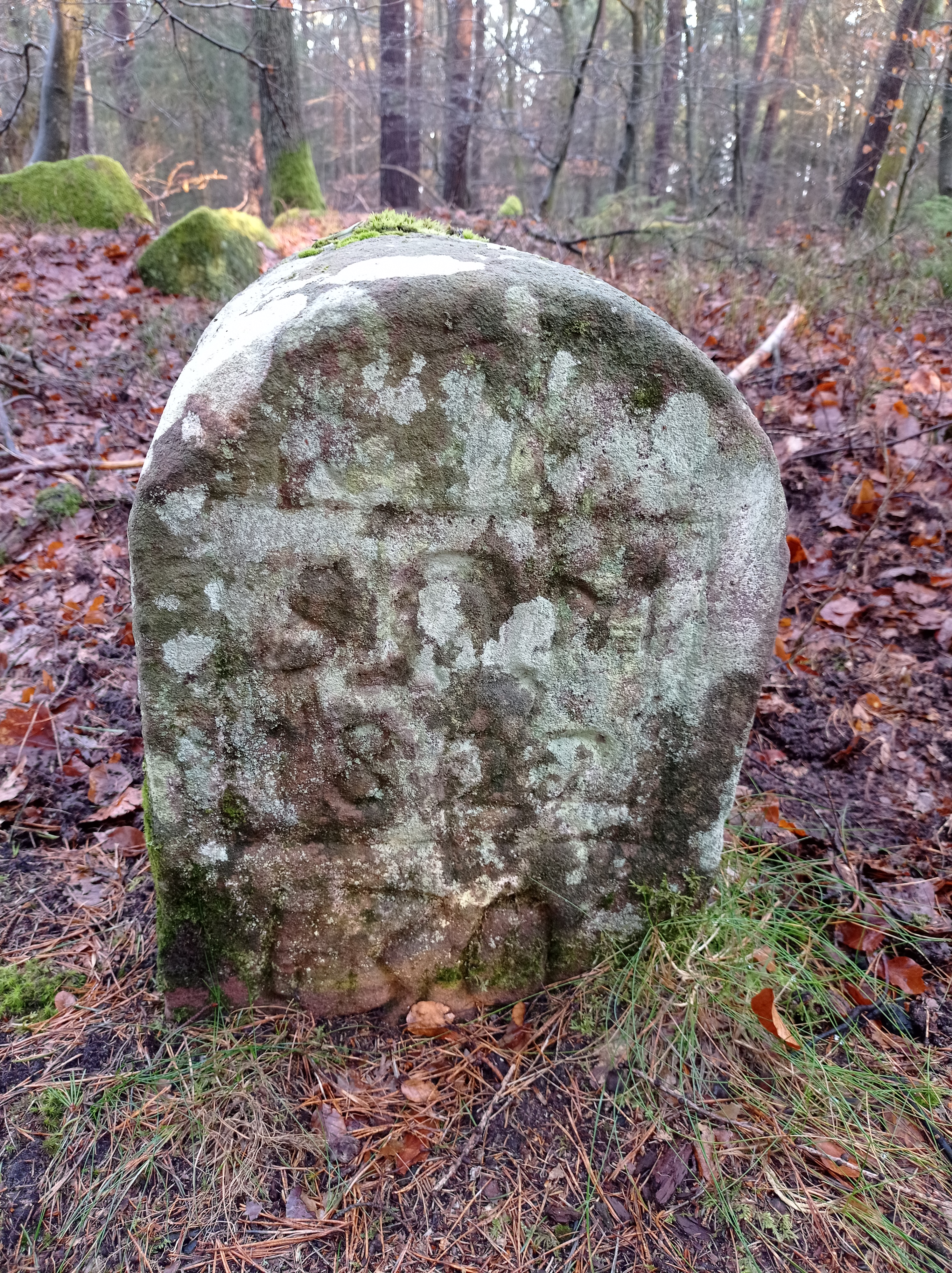Grenzstein 57 maikammer martin 130.jpg