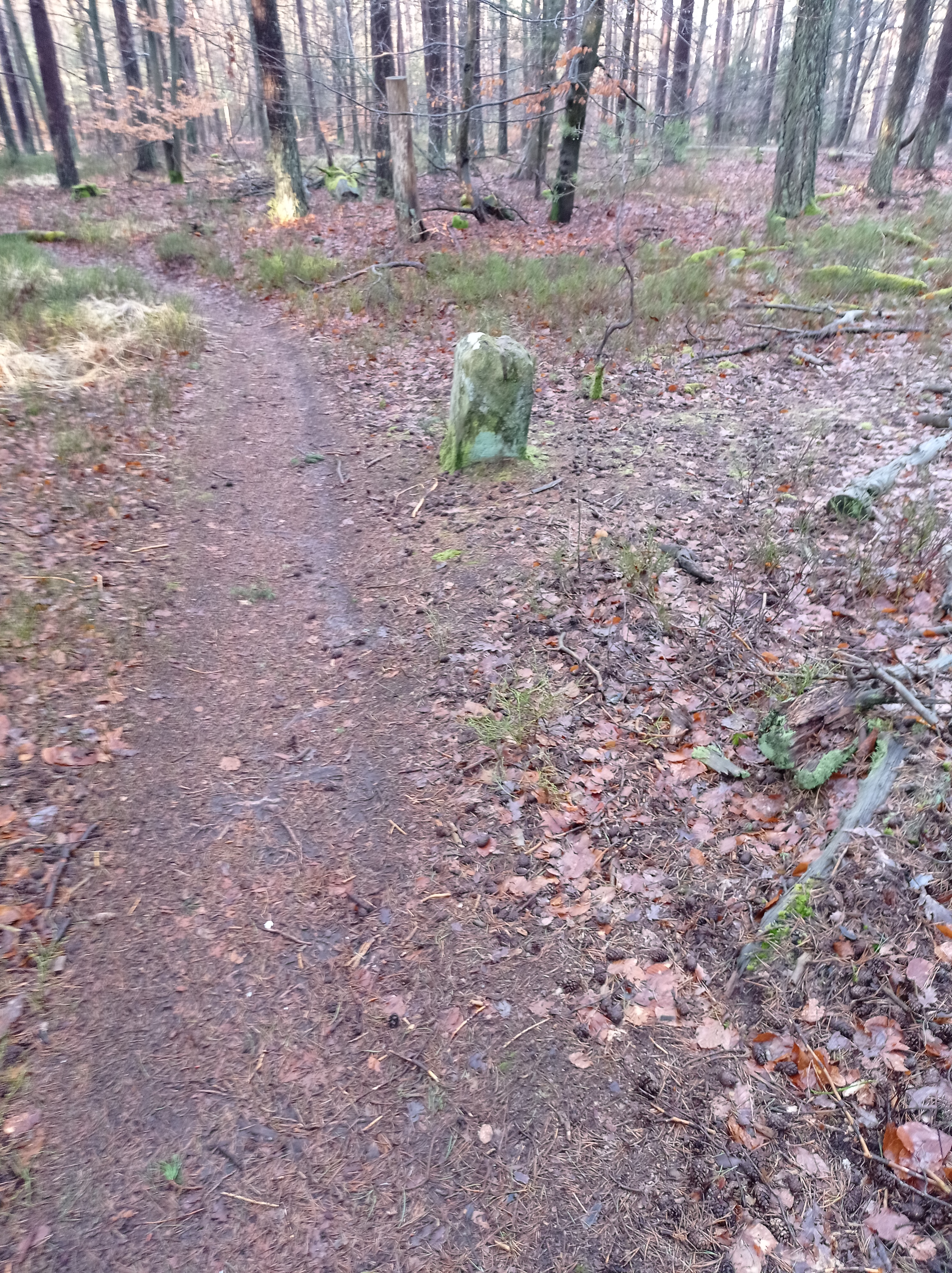 Grenzstein 58 maikammer umfeld.jpg