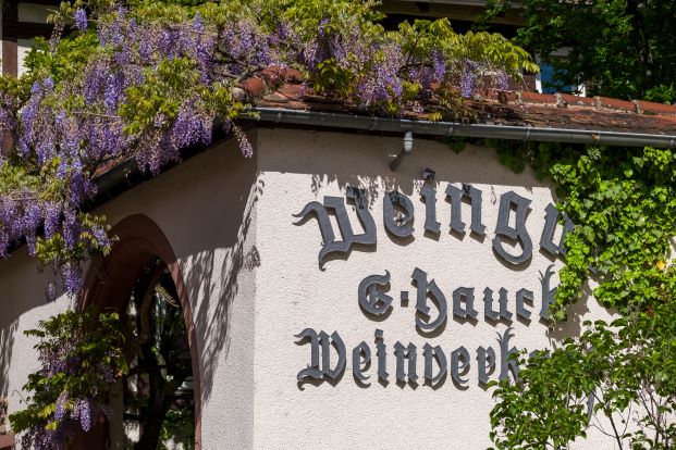 Alsterweiler Hauptstraße 26 Ansicht Osten.JPG