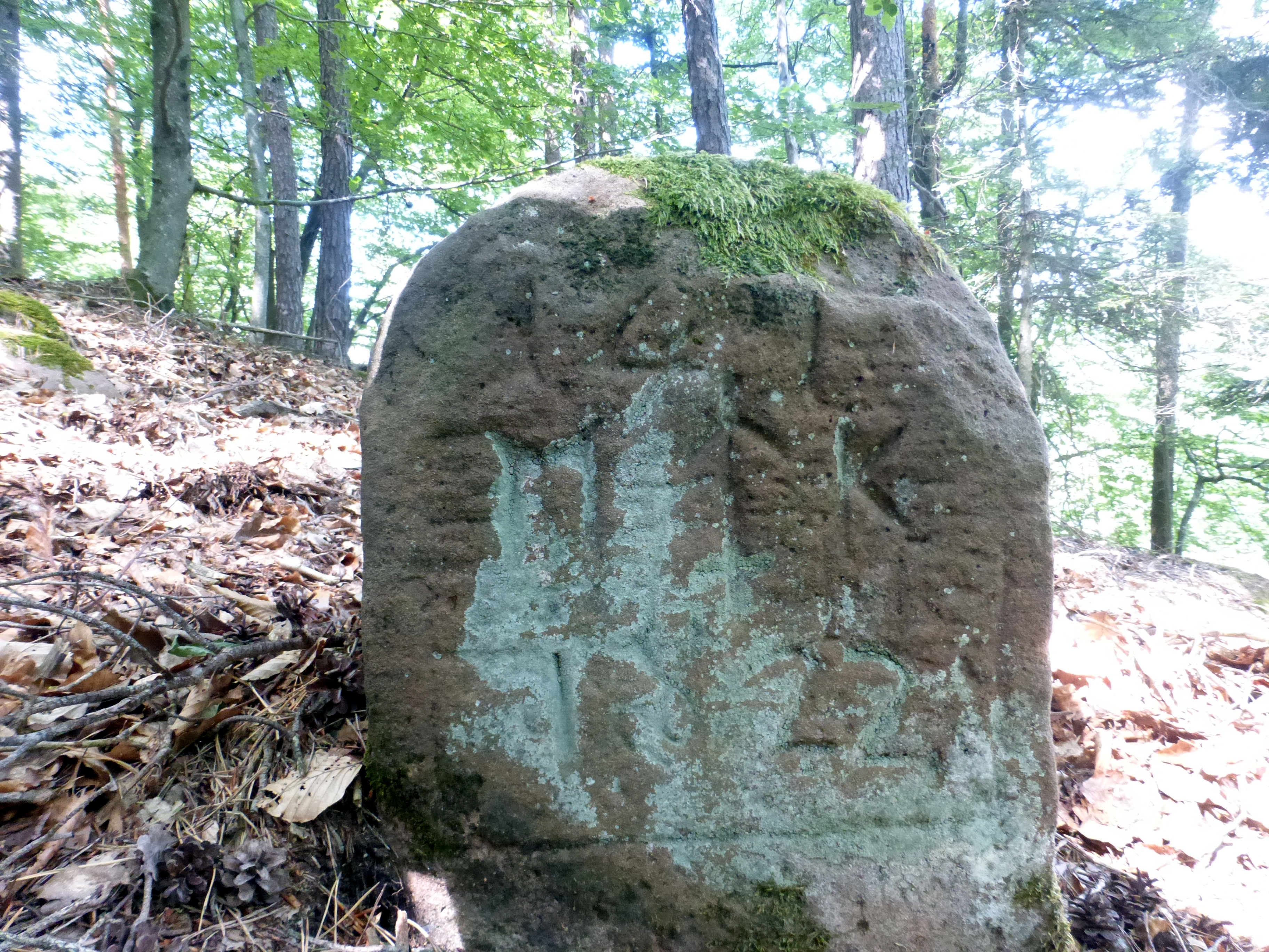 Grenzstein maikammer alsterweiler 141 diedesfeld 80-1.jpg