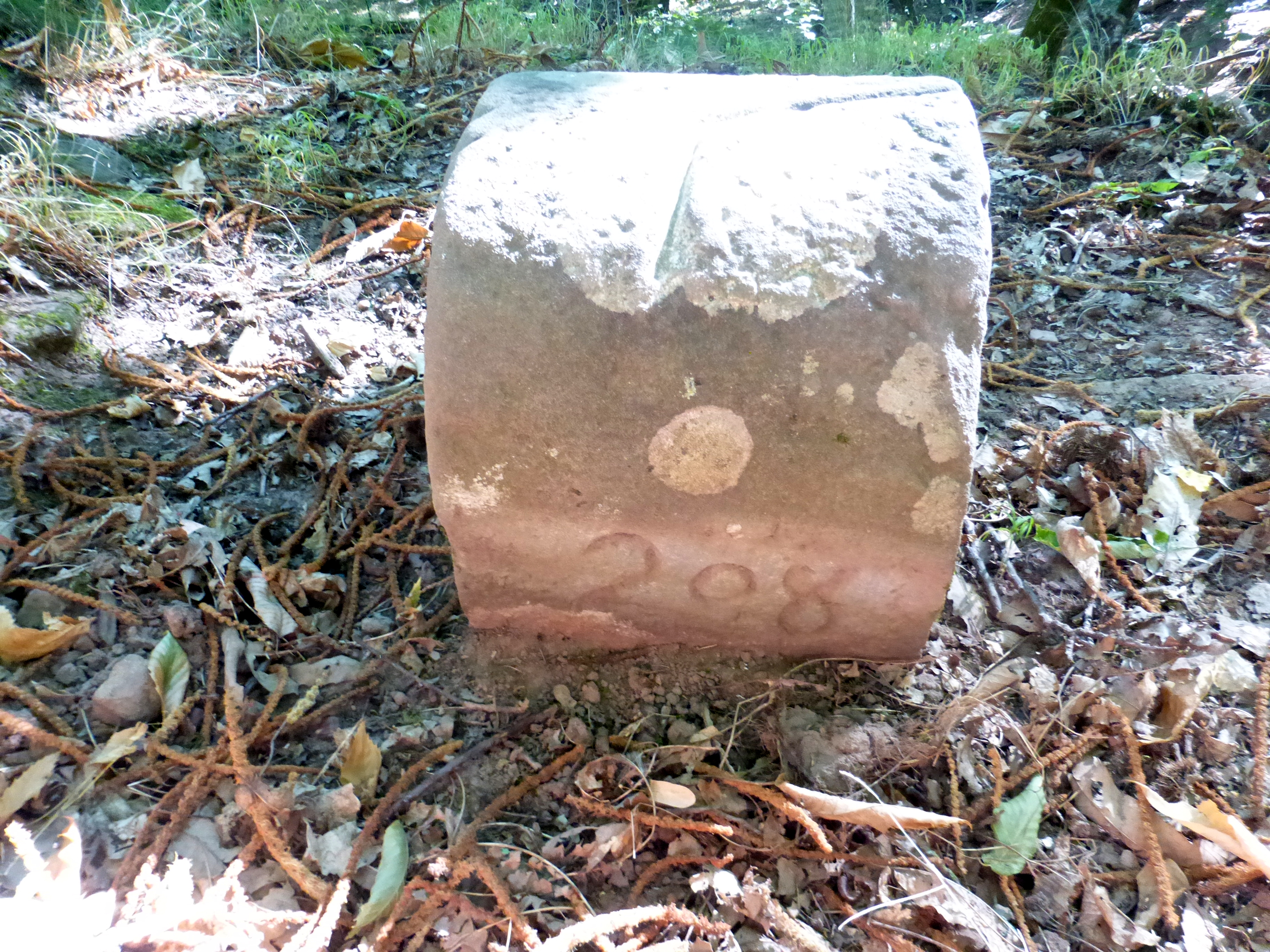 Grenzstein maikammer alsterweiler 208 diedesfeld 13 2.jpg