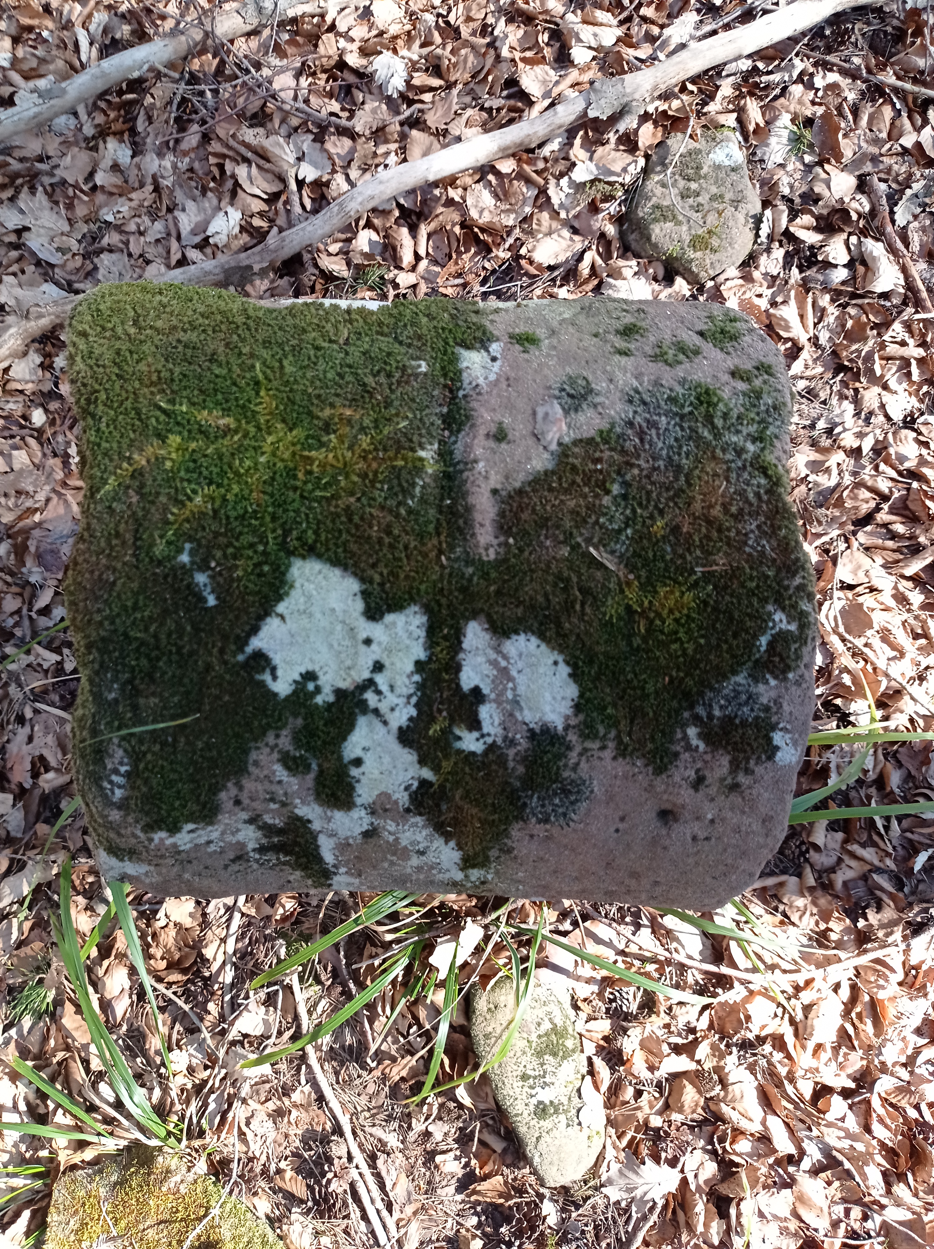 Grenzstein maikammer alsterweiler 139 diedesfeld 82 weisung.jpg