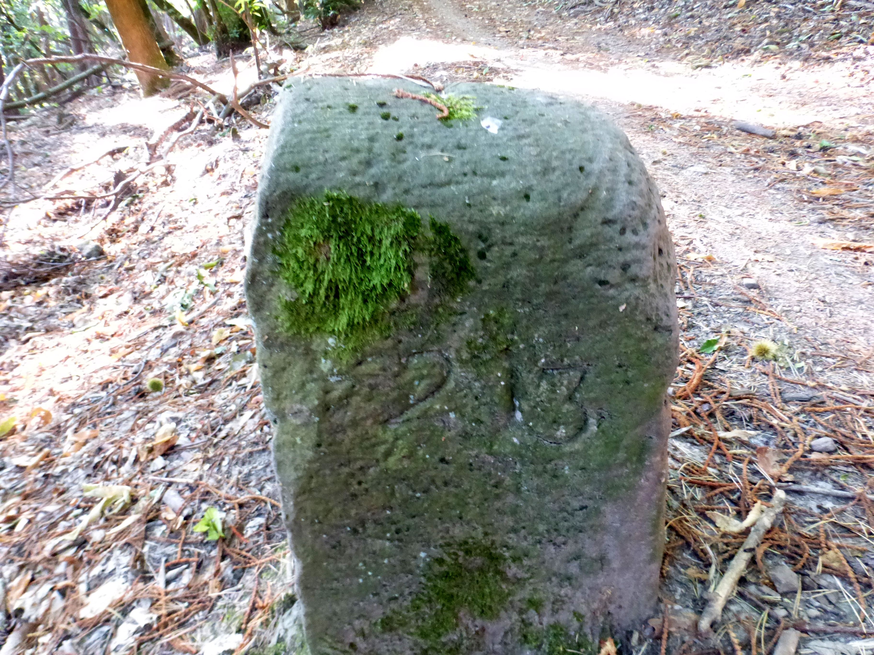 Grenzstein maikammer alsterweiler nummer 213 diedesfeld 8 2.jpg