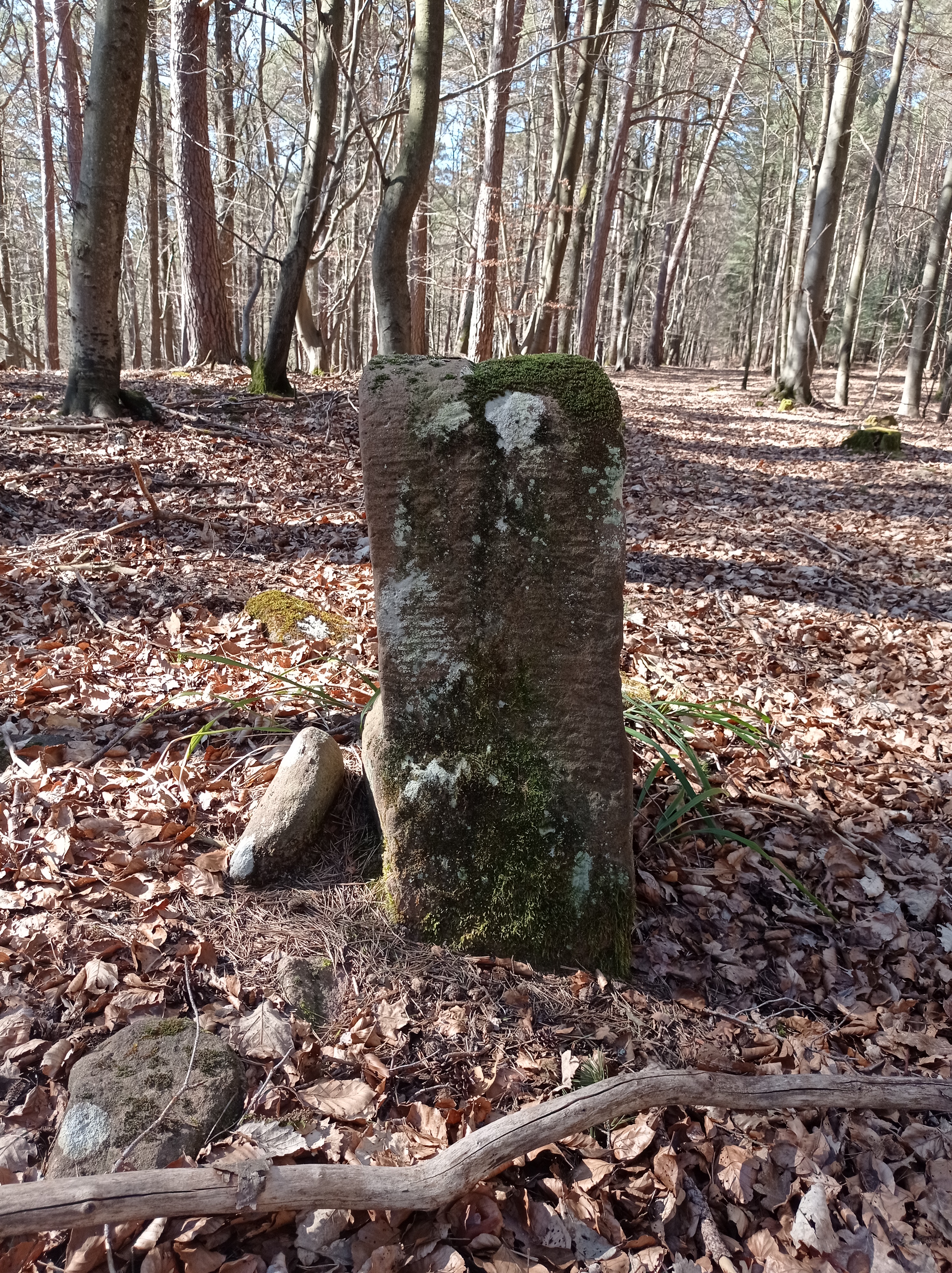 Grenzstein maikammer alsterweiler 139 diedesfeld 82 umfeld.jpg
