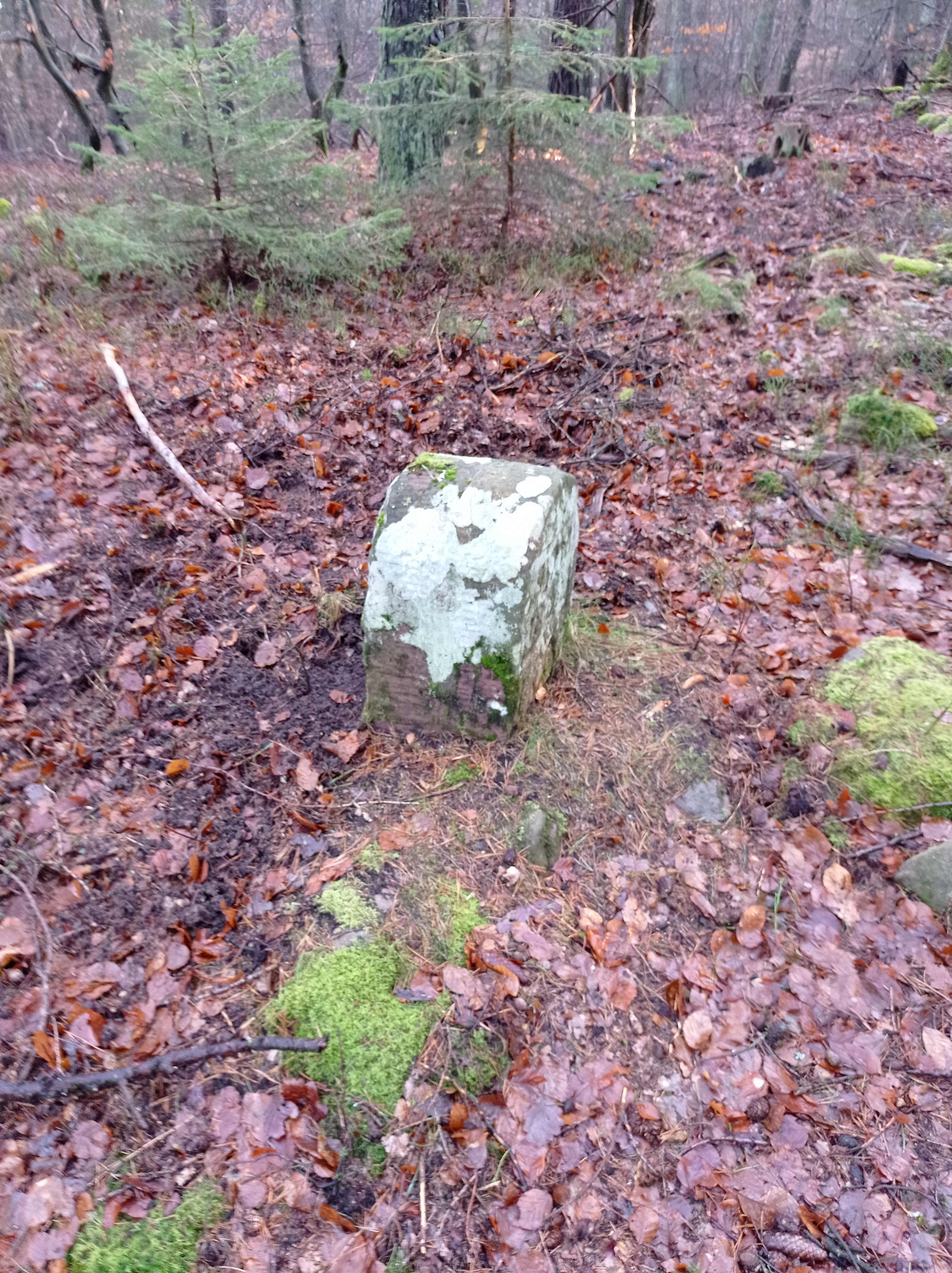 Grenzstein 57 maikammer martin 130 umfeld.jpg