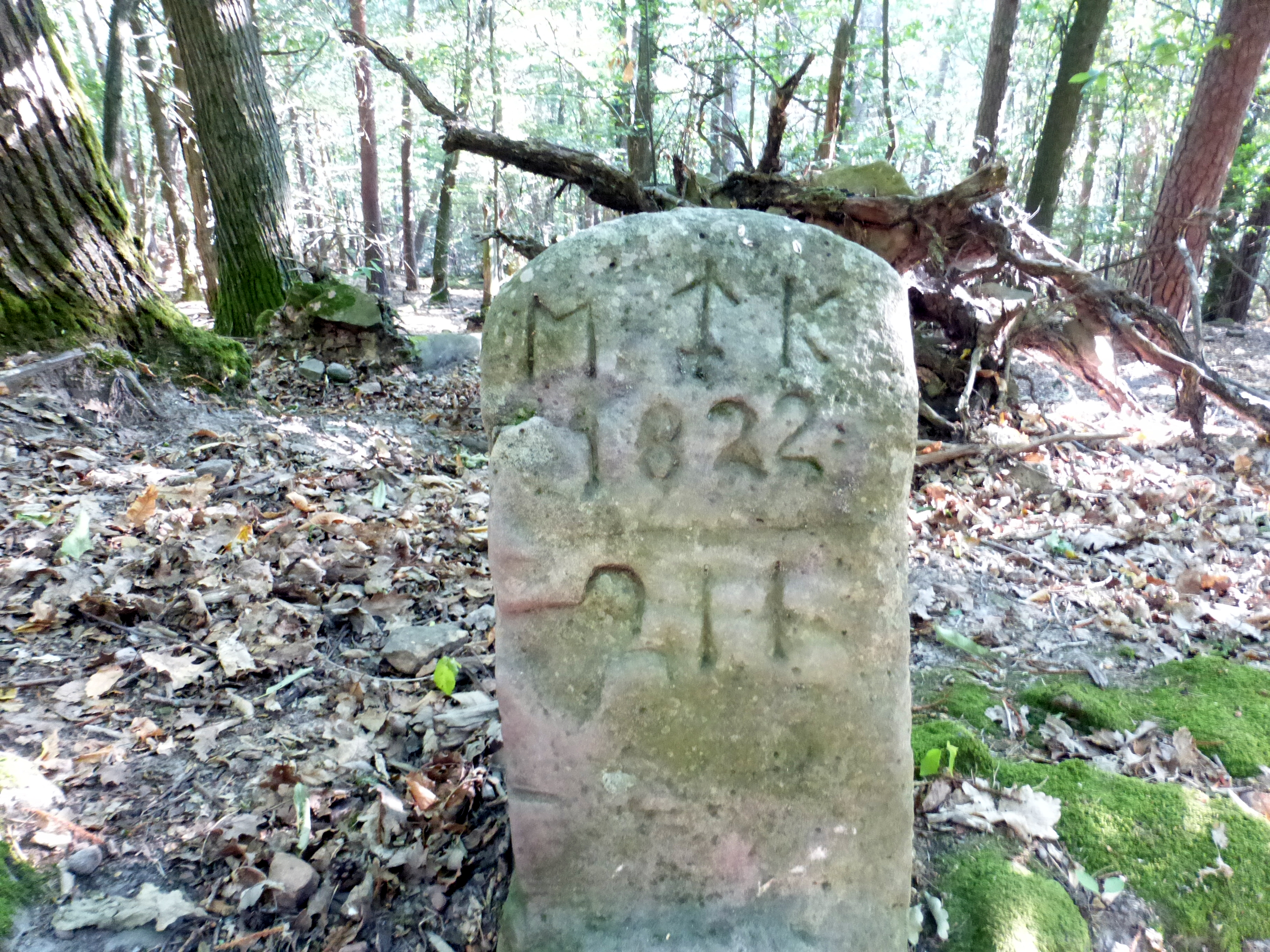 Grenzstein maikammer alsterweiler 211 diedesfeld 10 1.jpg