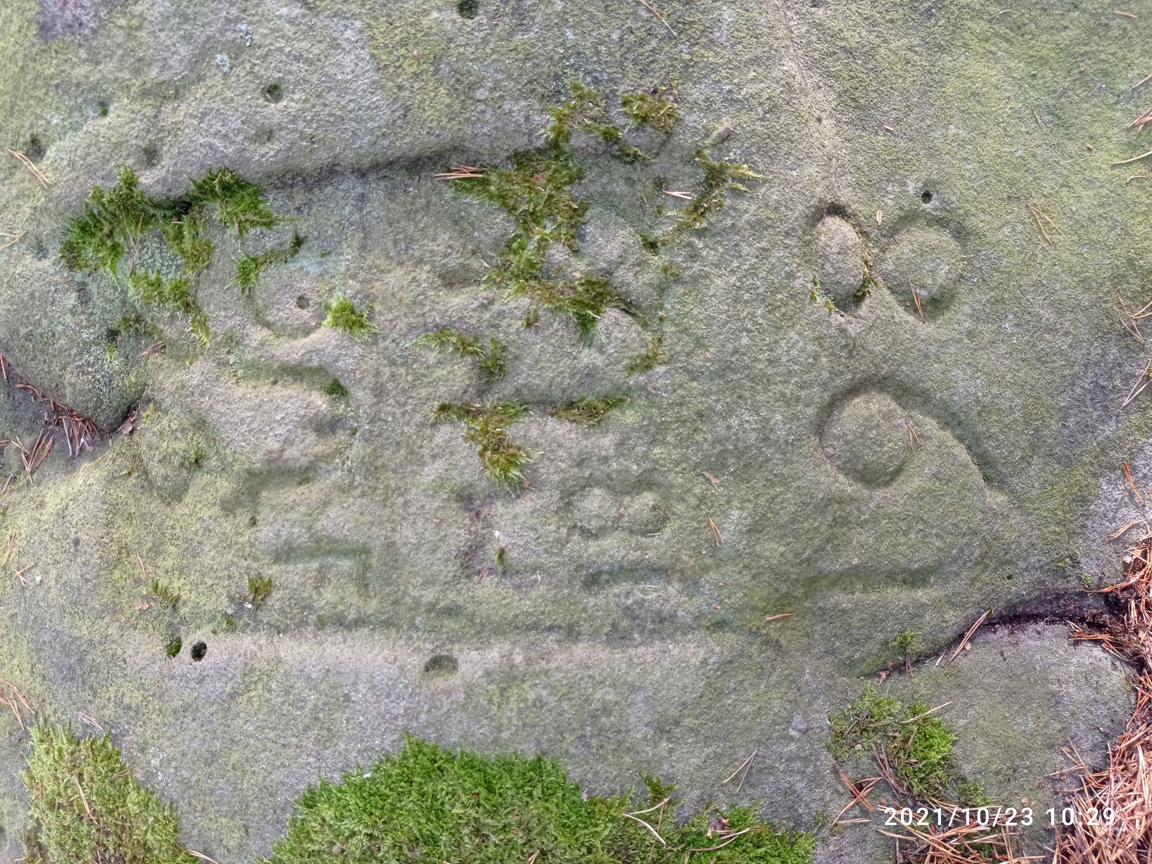 Grenzstein 198 Detail.jpg