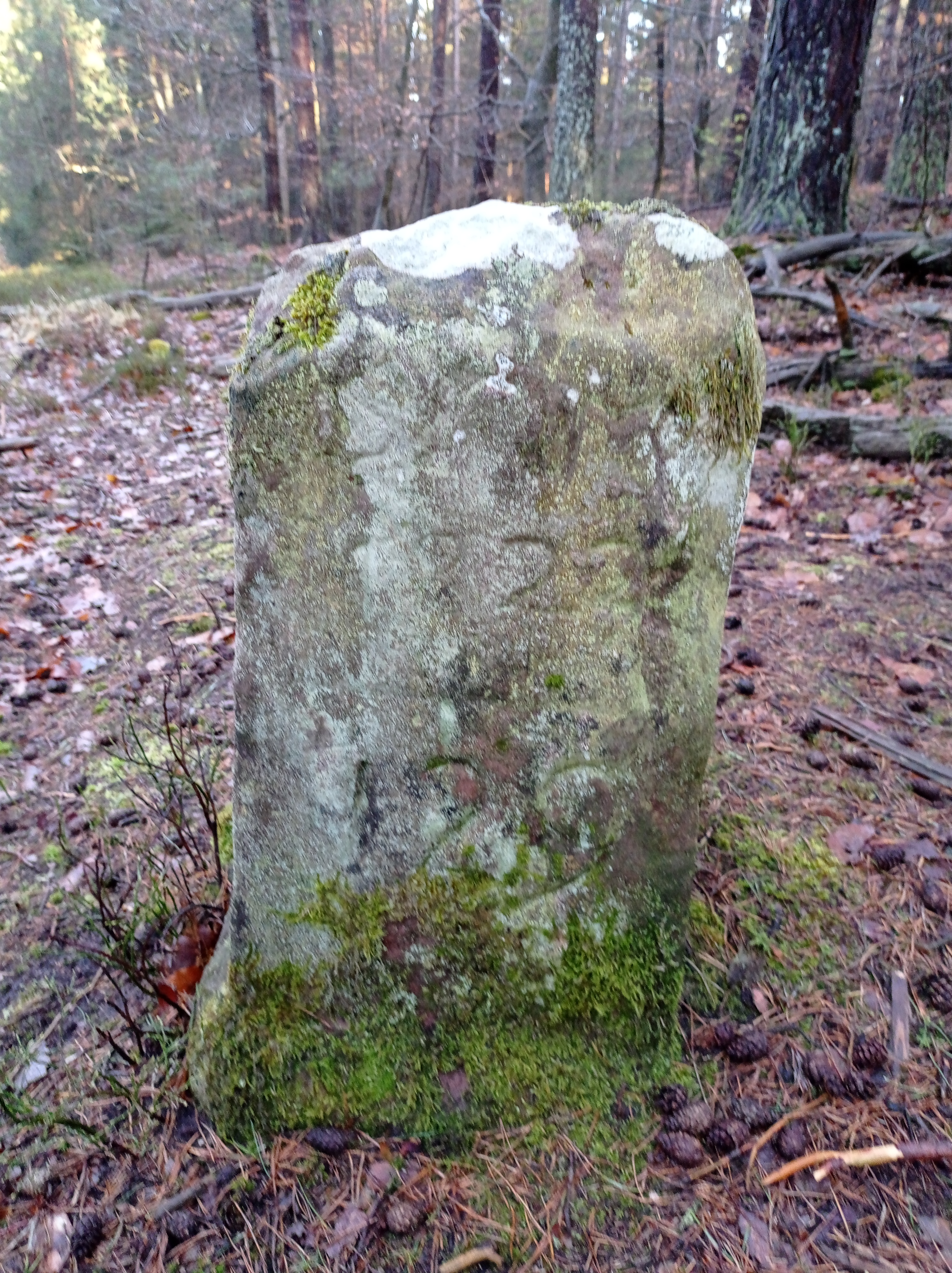 Grenzstein 58 maikammer sankt martin 129.jpg