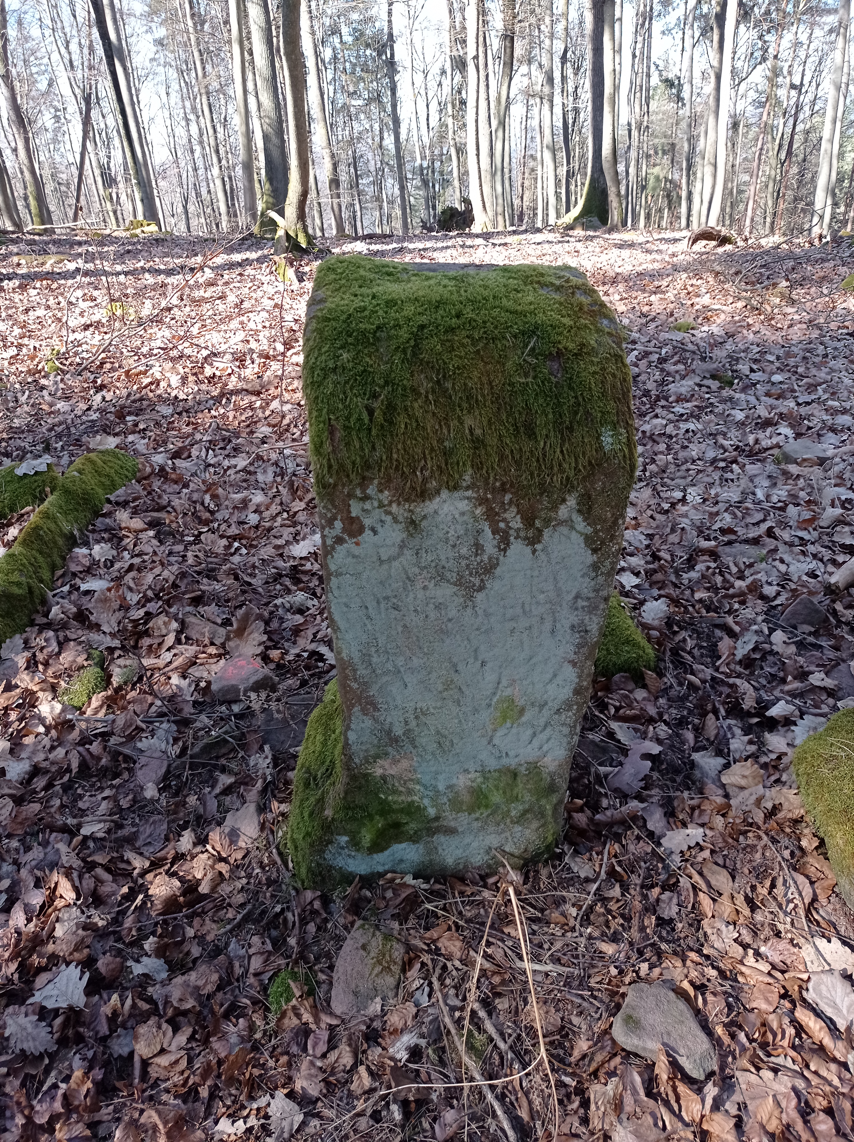 Grenzstein maikammer 132 kirrweiler 22 umfeld.jpg