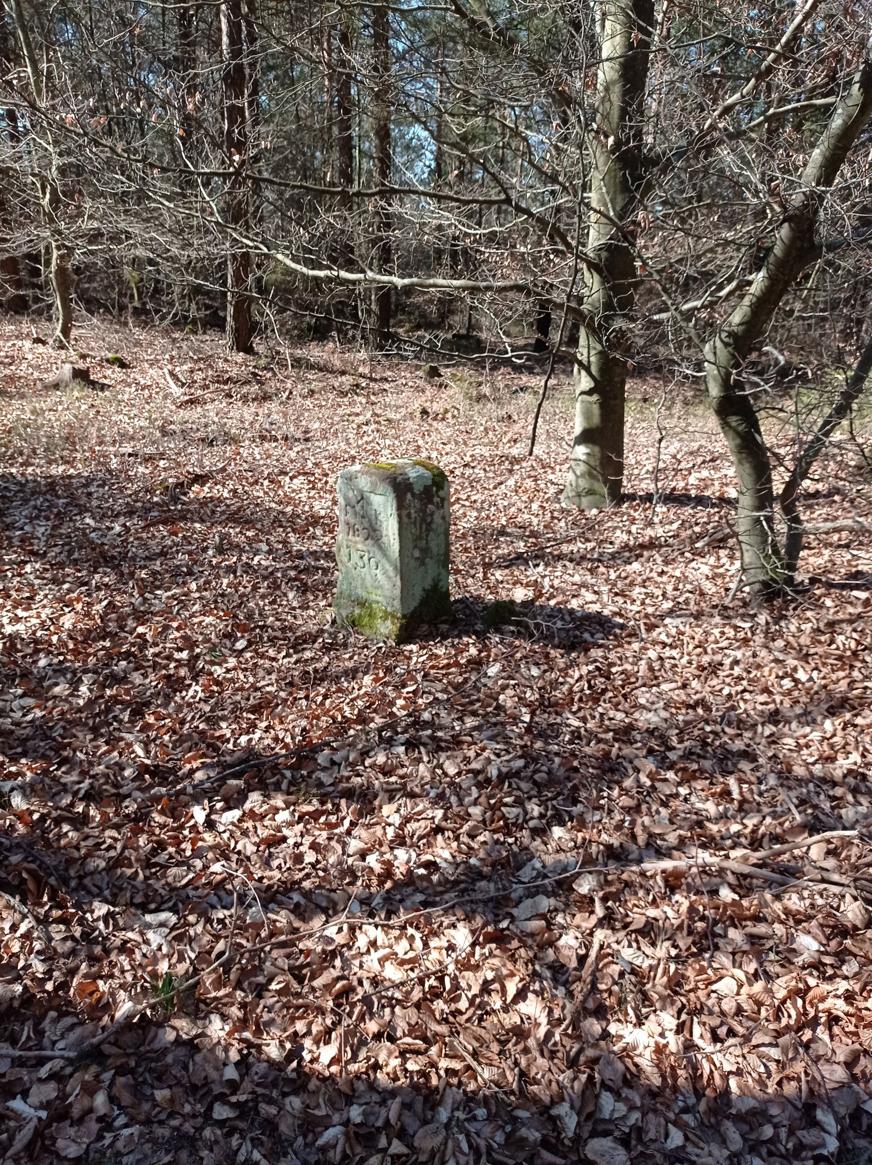 Grenzstein maikammer 130 kirrweiler 24 umfeld.jpg