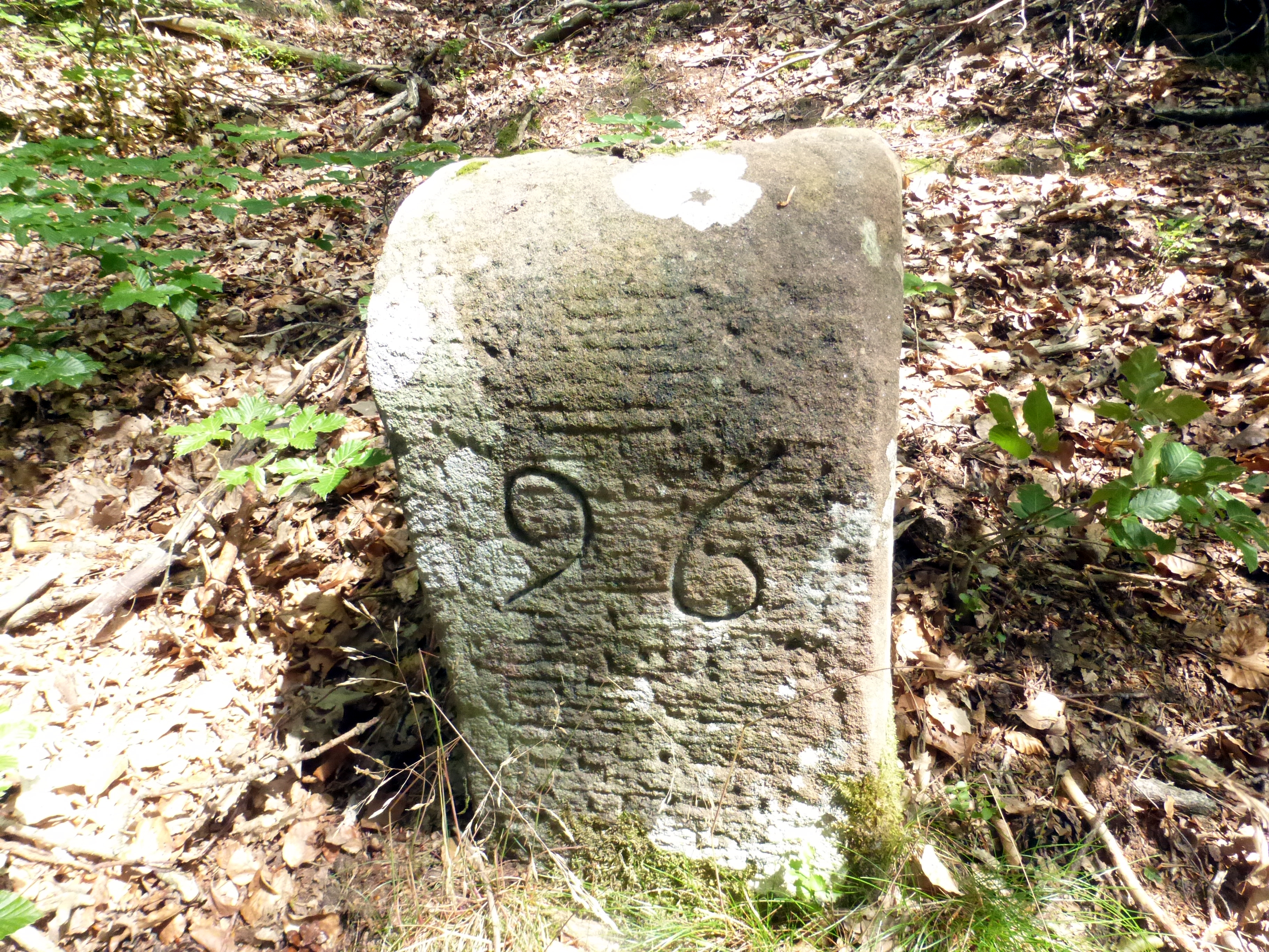 Grenzstein maikammer alsterweiler 91 sankt martin 96 2.jpg