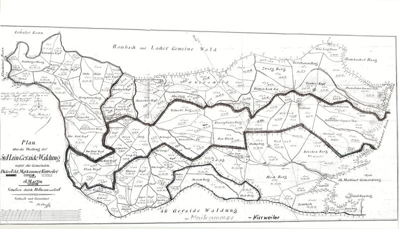 Datei:Katasterplan 1823 maikammer haingeraide.jpg