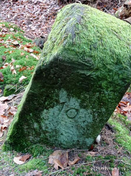 Datei:Grenzstein 29 maikammer haingeraide.jpg